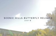 Butterfly Release Scenic 2016