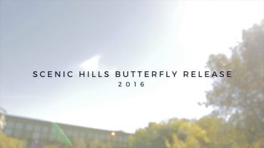Butterfly Release Scenic 2016